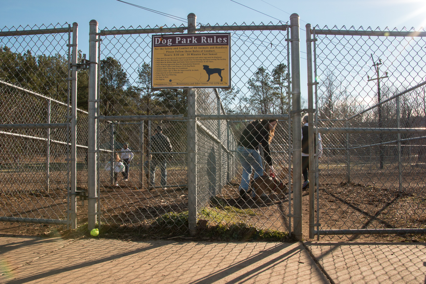 Gold Park Dog Park